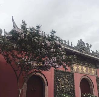 富邦娱乐：助力公益活动建设，实现经济效益与社会效益的双赢！